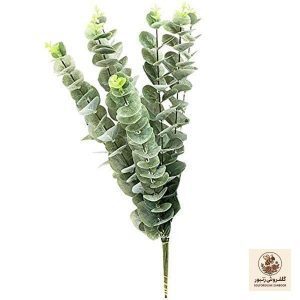 گیاه طبیعی اکالیپتوس مدل F-23 مجموعه 6 عددی | کد: ZNB-4QC | کد: ZNB-4QC