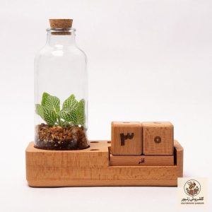 تراریوم طبیعی گلوریا سیسترز مدل تقویم کد 010 | کد: ZNB-7OZ | کد: ZNB-7OZ