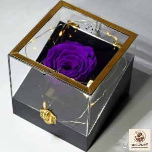 باکس گل رز جاودان مدل رویال – کادویی ماندگار برای سورپرایز تولد، سالگرد ازدواج و ولنتاین | کد: ZNB-EU2 | کد: ZNB-TRB-FE2CBC1E13784F25BDE558804D63DE8B