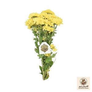 دسته گل داودی مینیاتوری زرد هیمان کد 1066 | کد: ZNB-4TW | کد: ZNB-4TW