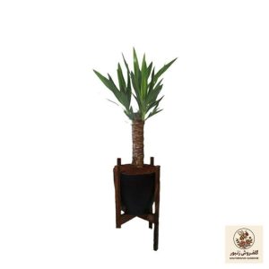 گیاه طبیعی یوکا مدل پایه دار کد 2398 | کد: ZNB-5LU | کد: ZNB-5LU