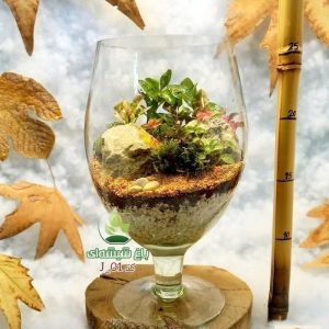 تراریوم شیشه ای لوکس#دکور طبیعی وماندگار برای خانه ومحل کار#خرید تراریوم گیاه آپارتمانی گلدان تراریوم #تراریوم کوچک رومیزی | کد: ZNB-ERI | کد: ZNB-TRB-B099409351A245B0AEF211DC4AA0EE73