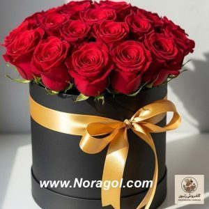 باکس گل رز 20 شاخه | کد: ZNB-TRB-76DBC3391BFC46A3957FD910926212FD | کد: ZNB-TRB-76DBC3391BFC46A3957FD910926212FD
