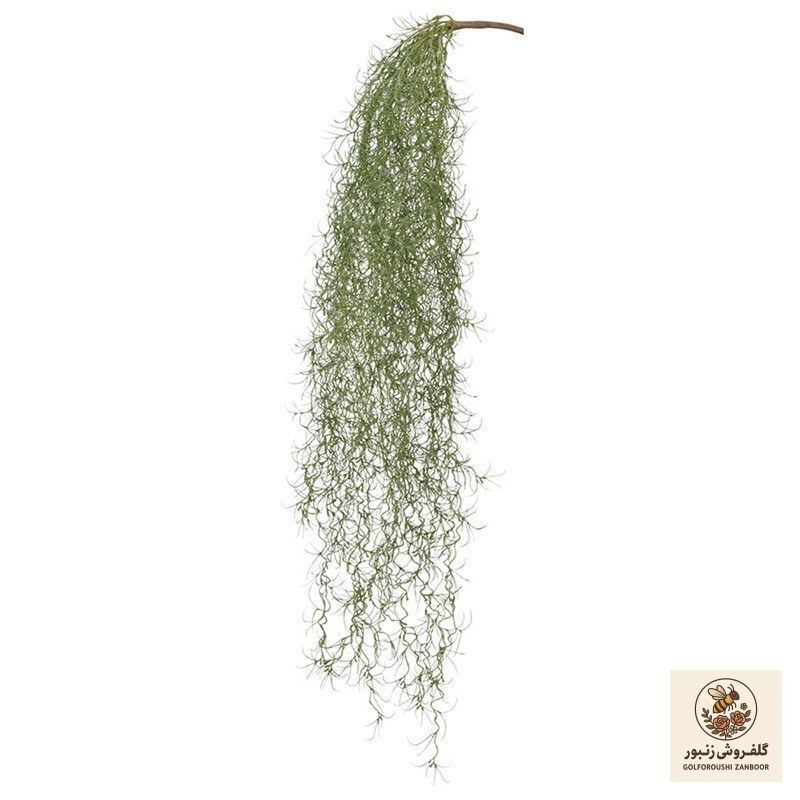 باکس گل رز کشویی 1159 – بی بی گل | کد: ZNB-15OX