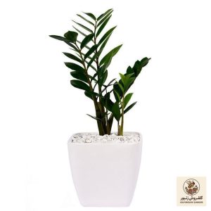 باکس سفید مشکی طرح رومینا | کد: ZNB-1D80