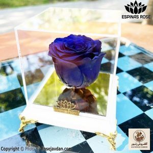 گل رز جاودان پایه سفید رز آبی کد 122 | کد: ZNB-ESA | کد: ZNB-TRB-BF8E79BEE9E047398A50DBD7B656E63E