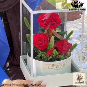 باکس لوکس گل رز جاودان قرمز 3 گله کد 741 | کد: ZNB-ETK | کد: ZNB-TRB-43791D14AA4A4FBFA6034F61CCFE5EE2