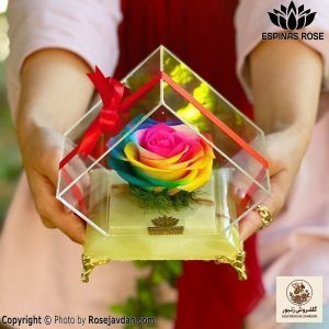باکس سنگی گل رز جاودان هفت رنگ کد 2400 | کد: ZNB-EW7 | کد: ZNB-TRB-E4B23EDCAF674D38AC69D04217ADFA78