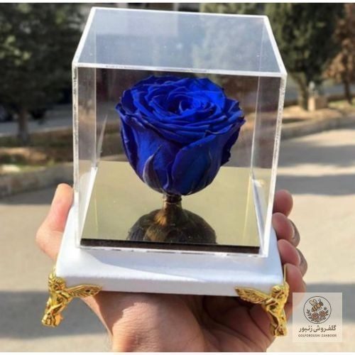 باکس گل رز رنگی 1139 – بی بی گل | کد: ZNB-15OJ