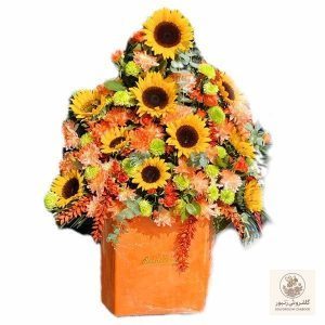باکس مدل اسپشیال | کد: ZNB-11ZX | کد: ZNB-11ZX
