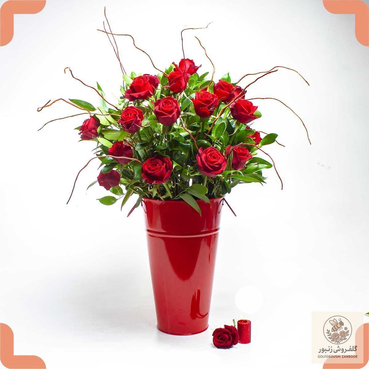 باکس گل رز قرمز هلندی ۲۰ شاخه | کد: ZNB-17GP
