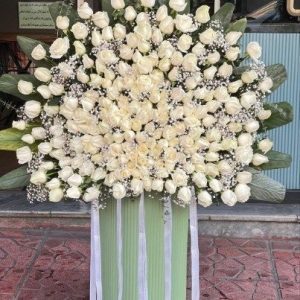 200 شاخه رز سفید باکس ایستاده 129