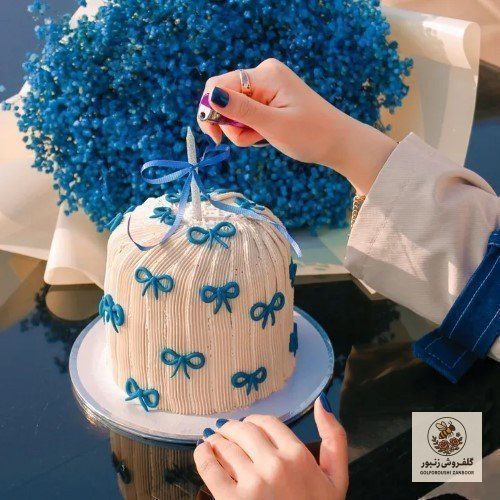 کیک تولد باکس گل تبریک نوزاد دختر | کد: ZNB-RPW