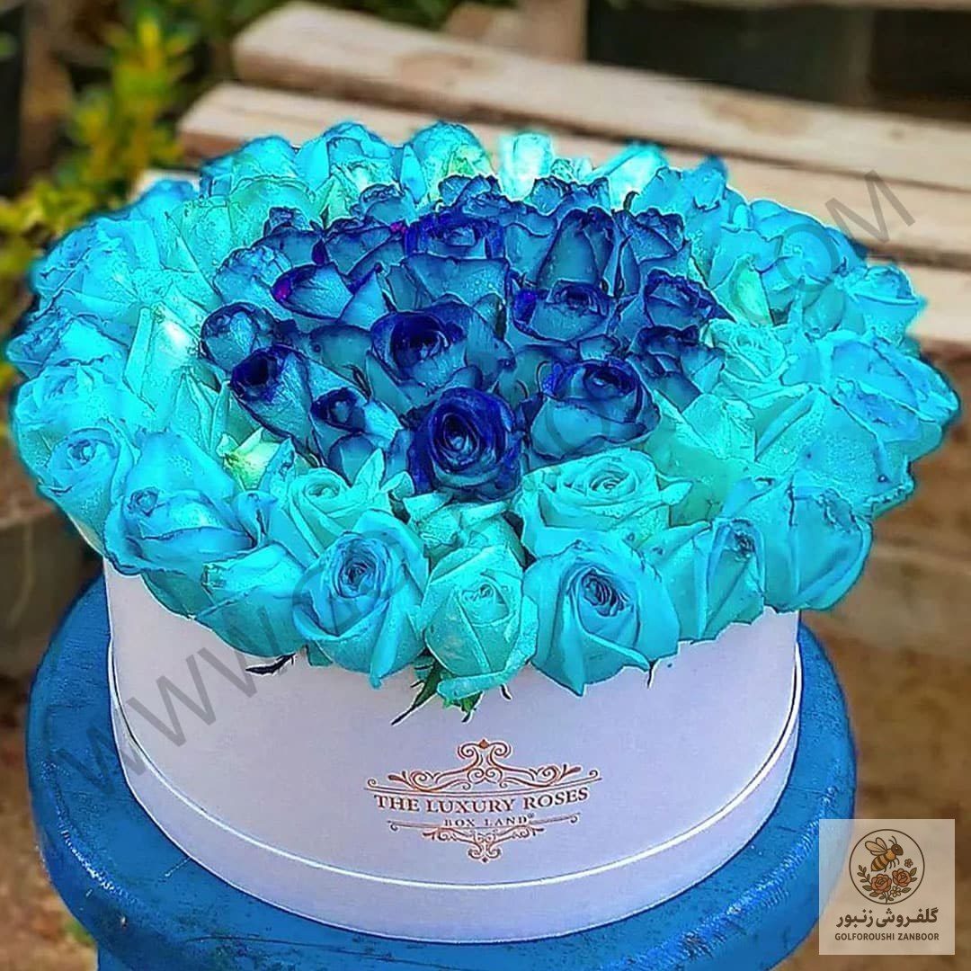 باکس گل 55 شاخه رز آبی | کد: ZNB-1894
